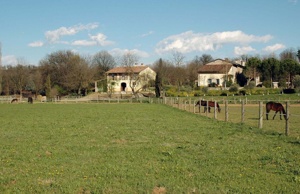 Agriturismo Trebisonda Country Resort Monzambano Luaran gambar
