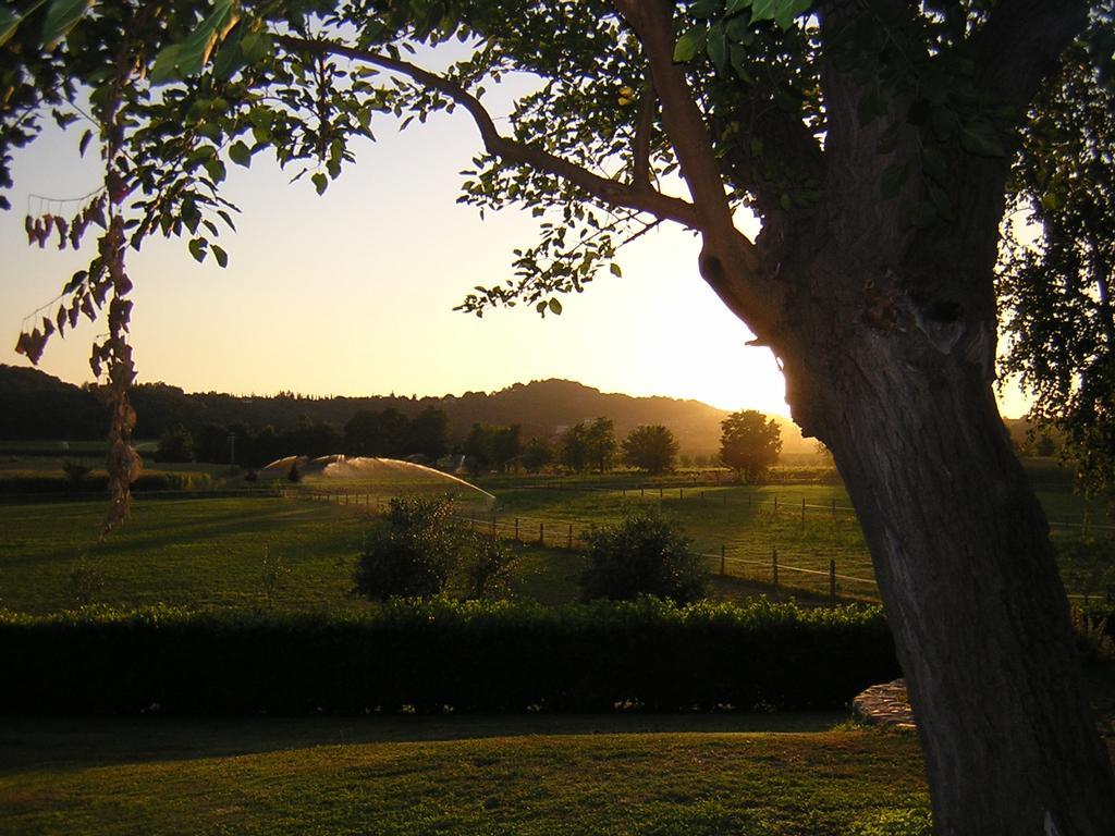 Agriturismo Trebisonda Country Resort Monzambano Luaran gambar